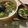 miumiu515's cooksnap of when they made 牛肉ハリハリ鍋 簡単で早くて美味しい♡.