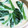 Ran6312's cooksnap of when they made ほうれん草とカニ缶の茶碗蒸し.