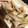 no1642's cooksnap of when they made ごぼうと豚肉のしぐれ風甘辛煮.