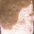 ꕤふわり's cooksnap of when they made レンジでもちもちむっちり蒸しパン.