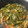 ♡M♡A's cooksnap of when they made 常備菜 簡単♪にんじんと切り昆布の煮物♪.