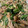 snow012's cooksnap of when they made やみつき♪豚もやしとニラの卵炒め♡.