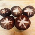 ななぞぅ's cooksnap of when they made しいたけの下ごしらえと飾り切り（花・松）.