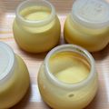 クック8053IE☆'s cooksnap of when they made 簡単！ぷっちんプリン風プリン？ゼリー？.
