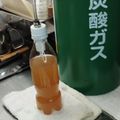 Ａ１５１＝監督's cooksnap of when they made 至高で究極の超激辛強炭酸ジンジャーエール.
