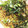 Ran6312's cooksnap of when they made 混ぜたら完成！簡単油そば.