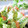 Satoco❋'s cooksnap of when they made カニかまのシソ巻き天ぷら.