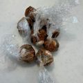 REI♡'s cooksnap of when they made 味噌玉♡お弁当用に約1ヶ月分.