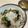 papikun's cooksnap of when they made しらすのさっぱり和え.