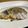ひろと＾＿＾ママ's cooksnap of when they made さわら(白身魚)のレモンマスタードソース.
