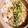 mack♪♪♪'s cooksnap of when they made 調理前の下ごしらえ♪加熱用牡蠣編.