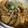 Miaaaaaaam's cooksnap of when they made 和ご飯✿さば缶トマトの玉子とじ丼.