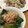 ﾌﾞﾚﾝﾀﾞ's cooksnap of when they made 長ネギ(白ネギ)の簡単みじん切りの切り方.