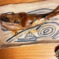 クックFJ5BNF☆'s cooksnap of when they made イワシの梅煮.