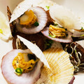 kinniko's cooksnap of when they made 今が旬！ほたての稚貝 酒蒸しバター醤油.