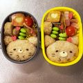 Chaaa_room's cooksnap of when they made すみっこぐらし❀しろくま&ねこ❀キャラ弁.