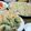 ひろちゃん☆ママ's cooksnap of when they made 小麦粉で簡単♪サクサクさつまいも天ぷら☆.