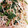 はるくん１'s cooksnap of when they made ほうれん草ともやしの味噌和え.
