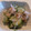 はあかなママ's cooksnap of when they made 簡単！1分！【胡瓜とガリの即席酢の物】.