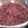 FaithAloha's cooksnap of when they made 圧力鍋で失敗煮豆救済　.