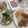 きらり流れ星's cooksnap of when they made ごまにんにくの簡単きゅーりづけ.