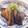 クックG1CG0C☆'s cooksnap of when they made 作り置き♡簡単15分♡茄子のポン酢炒め煮.