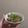 🌷's cooksnap of when they made 簡単♪豚バラ肉としらたきの炒め煮.