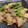 fu♪♪'s cooksnap of when they made とろっとおいしい♪豚肉とかぶの味噌炒め.