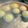 Chicarina's cooksnap of when they made 【基本】ふっわふわ！簡単卵蒸しパン.