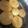 みきんどる's cooksnap of when they made 大根ステーキ＊胡麻醤油たれ.