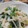 τомоко's cooksnap of when they made ほうれん草*長芋*ベーコンのマヨ和え.