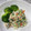ラスティー君パパ's cooksnap of when they made 小松菜の白和え.