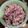 Layco♪'s cooksnap of when they made 紫にんじんの炊き込みご飯.