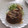 きらり流れ星's cooksnap of when they made 味付きうずらの卵.