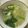 ♡mio1216♡'s cooksnap of when they made 小松菜スープ.