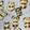 クック1P4CRO☆'s cooksnap of when they made 動物スノーボールクッキー.