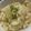 きなこあめ＊'s cooksnap of when they made パルミジャーノ･レッジャーノのリゾット.