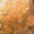 Hightea1's cooksnap of when they made 男のがっつりにんにくスープ！ねぎ大量だよ.