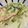 クックQSLFJR☆'s cooksnap of when they made ＊材料3つ簡単副菜＊鮭と長ネギのミルク煮.