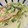 クックQSLFJR☆'s cooksnap of when they made ＊材料3つ簡単副菜＊鮭と長ネギのミルク煮.