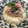 ぽぽまる0427's cooksnap of when they made リメイク！鯵と焼ききのこのとろろおろし.