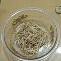 ラリー＆サラ's cooksnap of when they made さっぱり！もやしのぽん酢がけ.