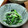 あず7225's cooksnap of when they made ちぢみほうれん草の柚子胡椒あえ.