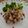 melmarilyn's cooksnap of when they made レンジで時短簡単おかず！玉ねぎ爆弾.