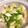 ラテ柴's cooksnap of when they made 長ねぎの麺つゆ中華あえ.