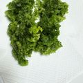 ふっくら白玉's cooksnap of when they made 磯の風味絶品・あおさ海苔の天ぷら.