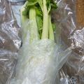 ささささ＆＊'s cooksnap of when they made 水菜・セロリを新鮮に持たせる方法♬.