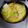 かーぷ２００９'s cooksnap of when they made 豚ロース厚切りのピカタ風煮込み.