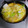 かーぷ２００９'s cooksnap of when they made 豚ロース厚切りのピカタ風煮込み.