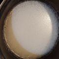 canadawhistler's cooksnap of when they made 本格中華・小籠包に入ってるあのスープの素.